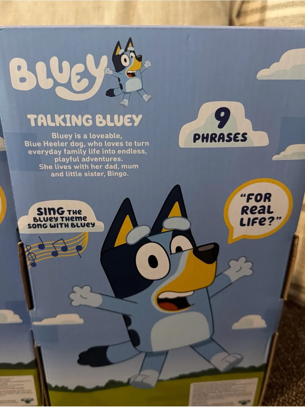 Talking Bluey and Bingo Plush Toy - Orange and Light Blue Characters
